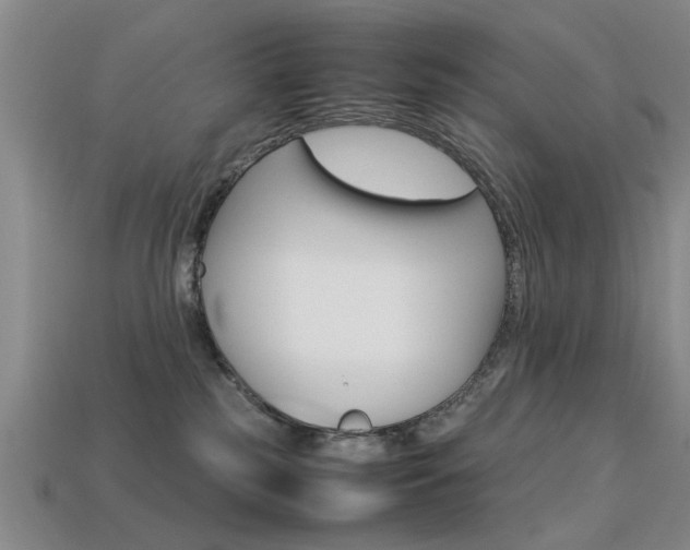 X0000113560185200909181029