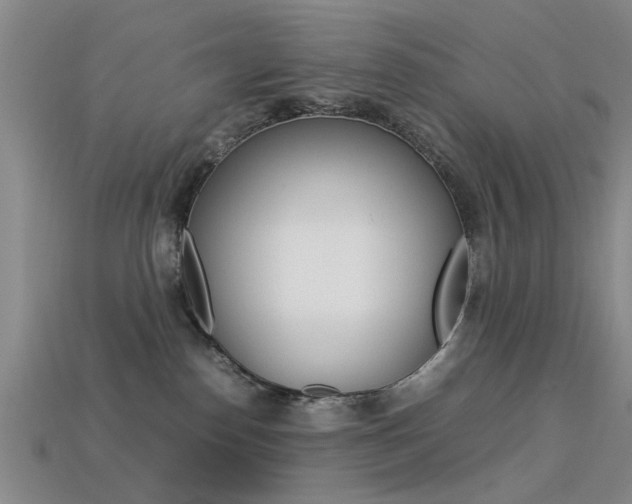 X0000113560186200909181029