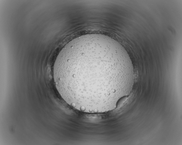 X0000113560187200909181029