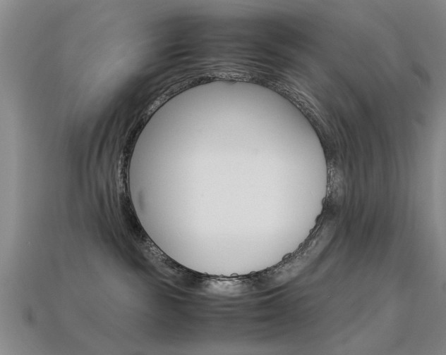 X0000113560189200909181029