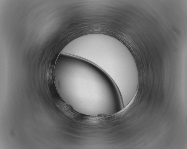 X0000113560190200909181029