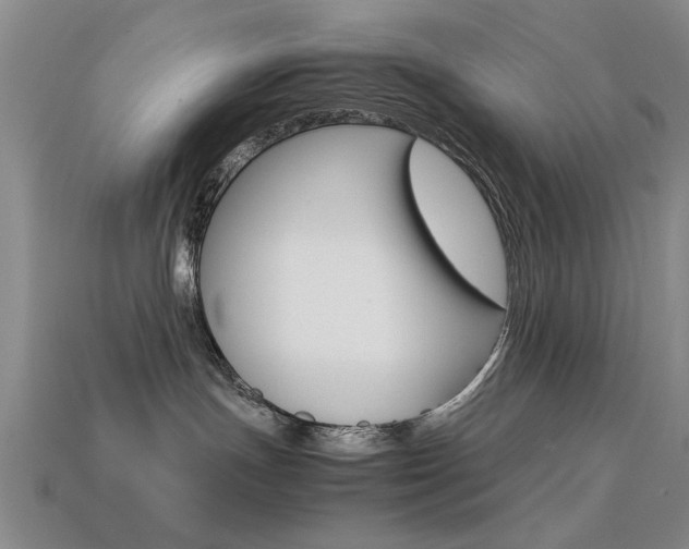 X0000113560191200909181029