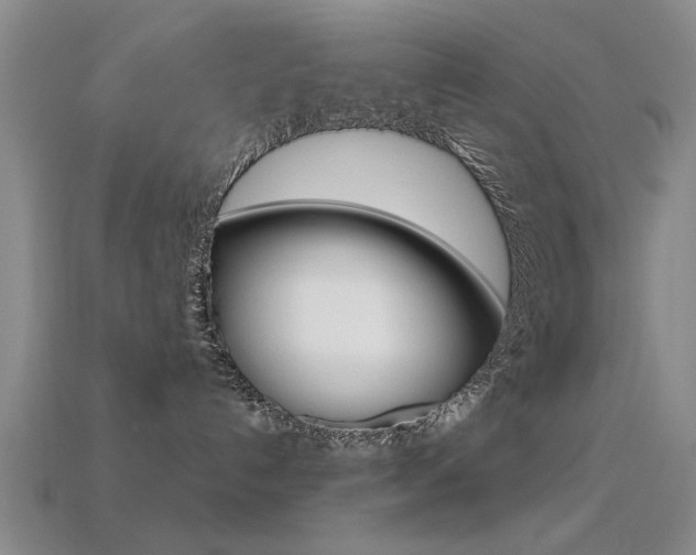 X0000113560192200909181029