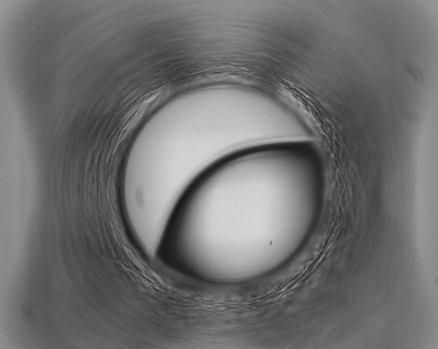 X0000113560193200909181028
