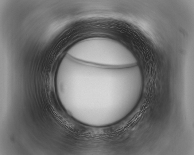X0000113560194200909181028