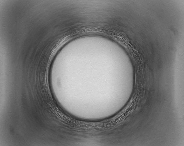 X0000113560195200909181028