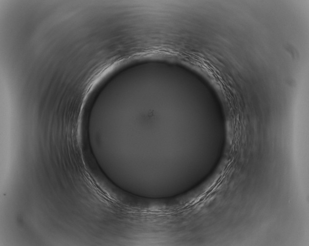X0000113560196200909181028