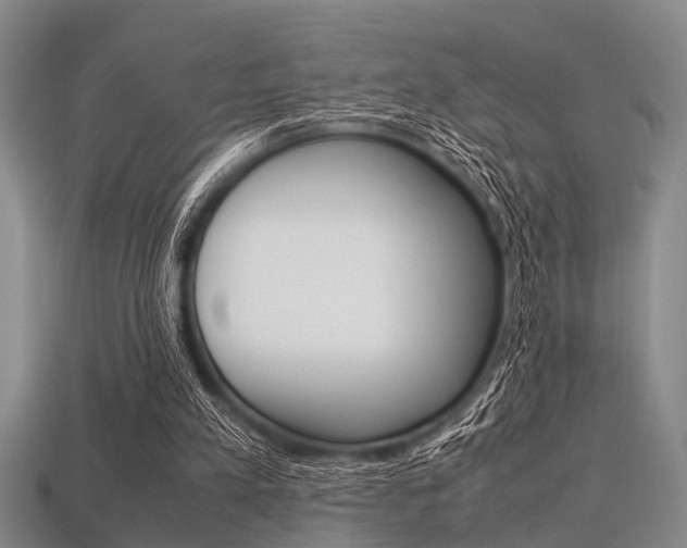 X0000113560197200909181028