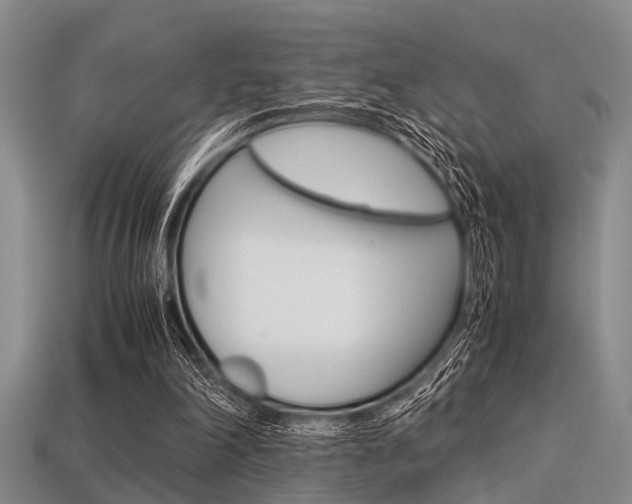 X0000113560198200909181028