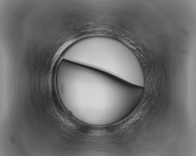 X0000113560200200909181028