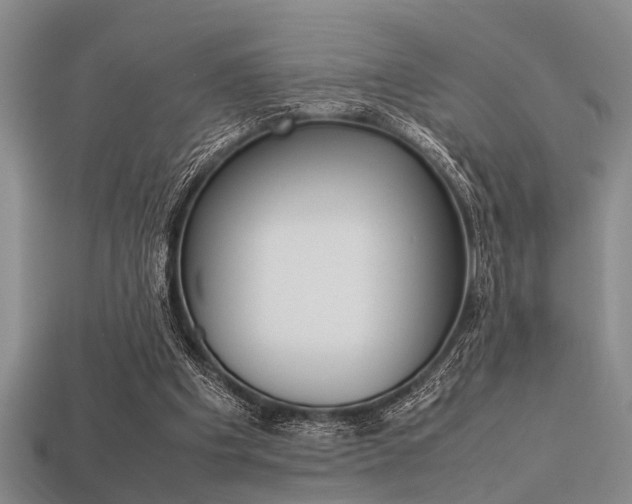 X0000113560201200909181028
