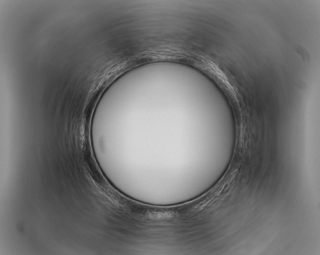 X0000113560202200909181028