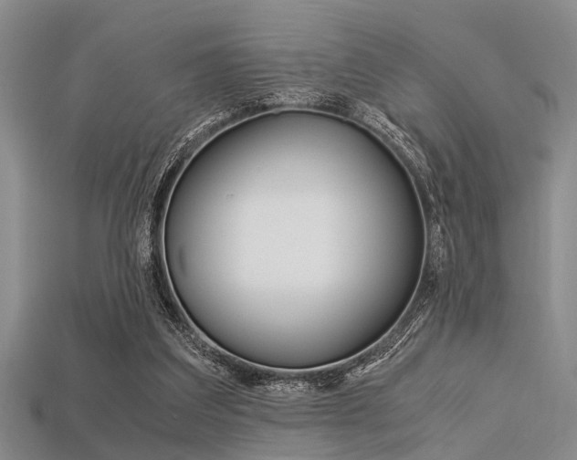 X0000113560203200909181028