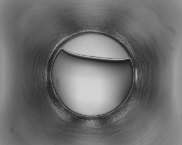 X0000113560204200909181028
