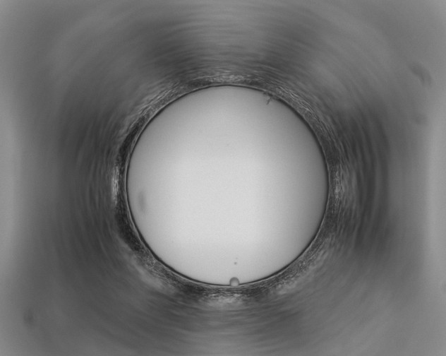 X0000113560206200909181028