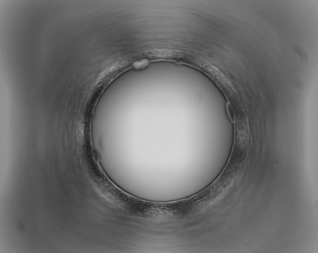 X0000113560207200909181028