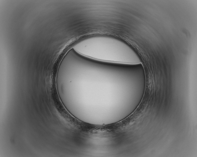 X0000113560208200909181028