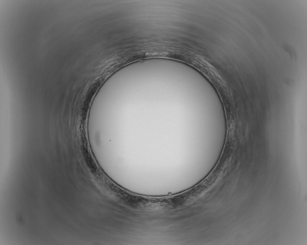 X0000113560209200909181028