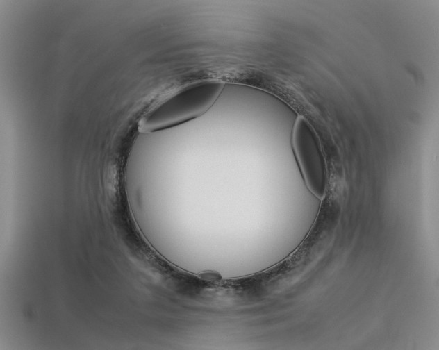 X0000113560211200909181028