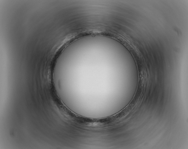 X0000113560212200909181028