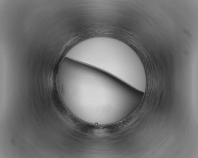 X0000113560216200909181028