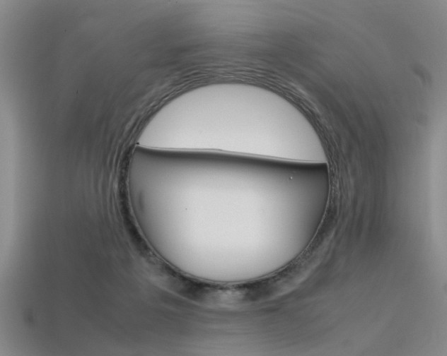 X0000113560217200909181028
