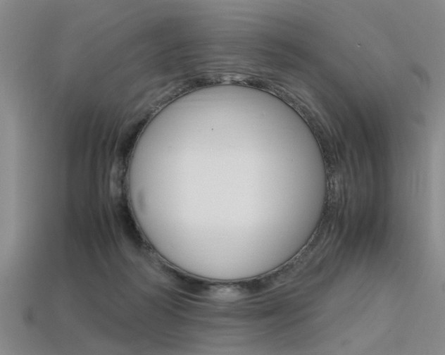X0000113560218200909181028
