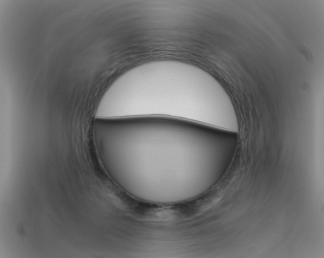 X0000113560219200909181028