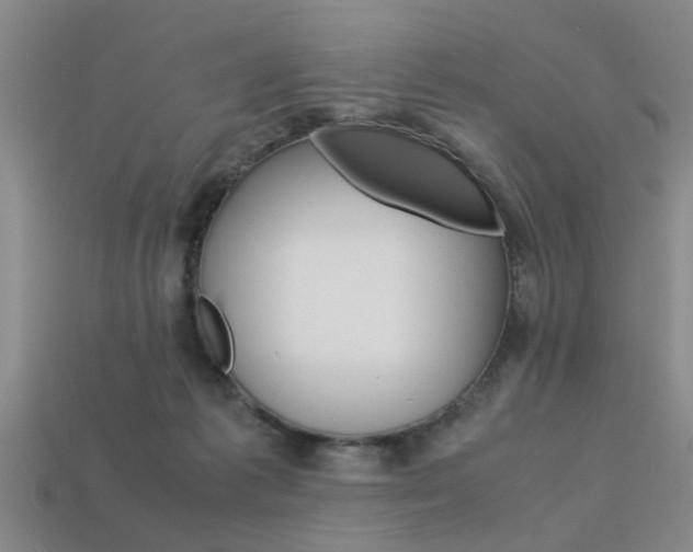 X0000113560221200909181028