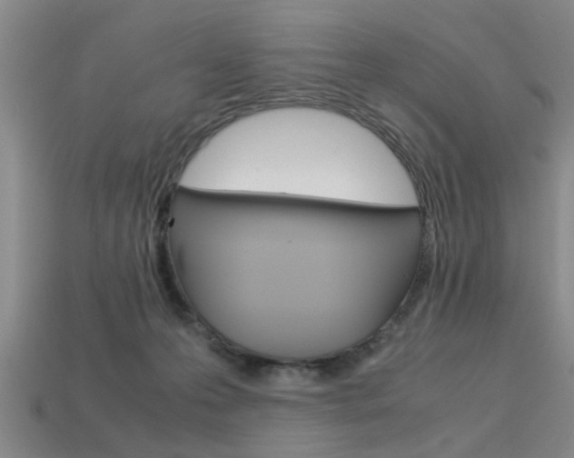 X0000113560223200909181028