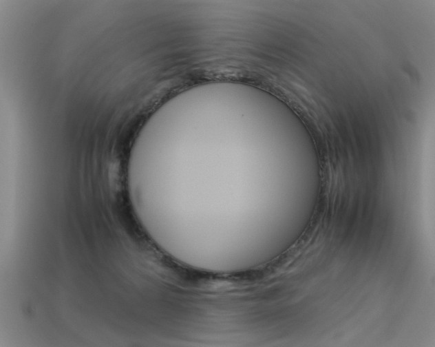 X0000113560224200909181028