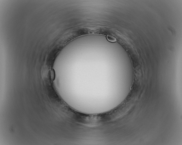 X0000113560225200909181027
