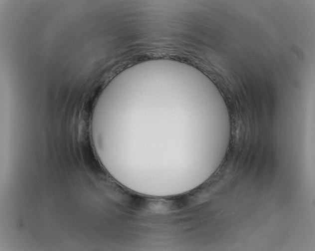 X0000113560226200909181027