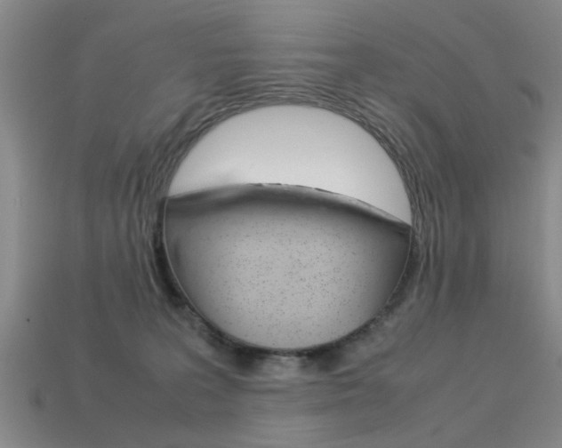 X0000113560227200909181027