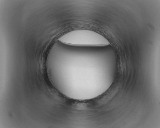 X0000113560228200909181027