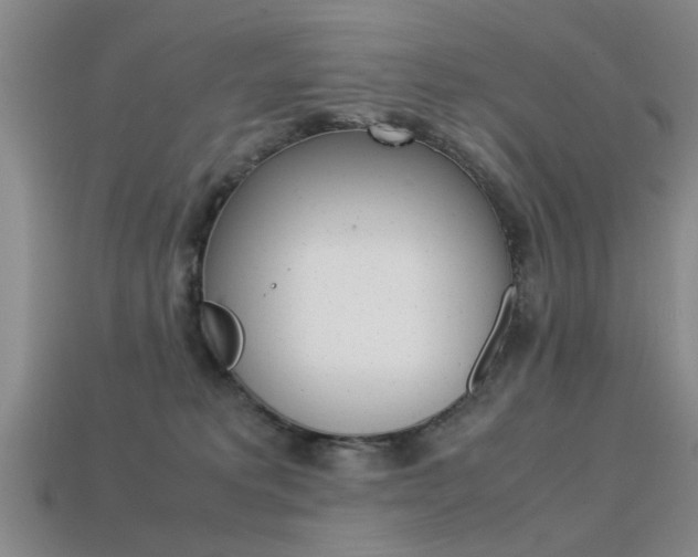 X0000113560229200909181027