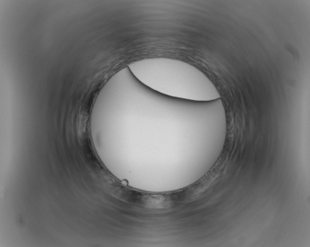 X0000113560230200909181027