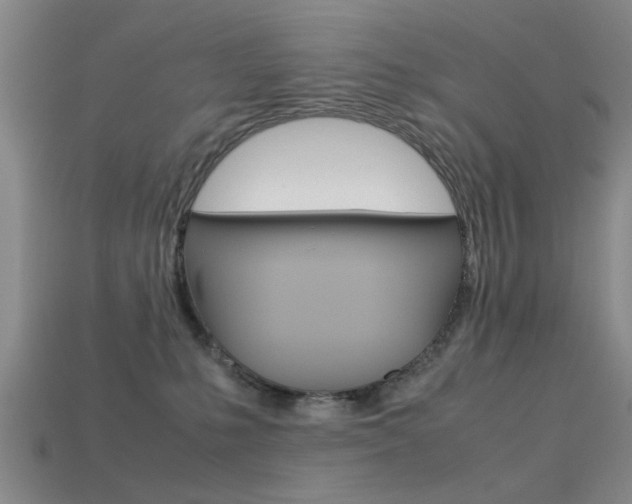 X0000113560231200909181027