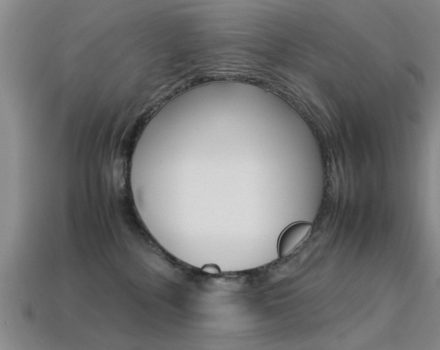 X0000113560232200909181027