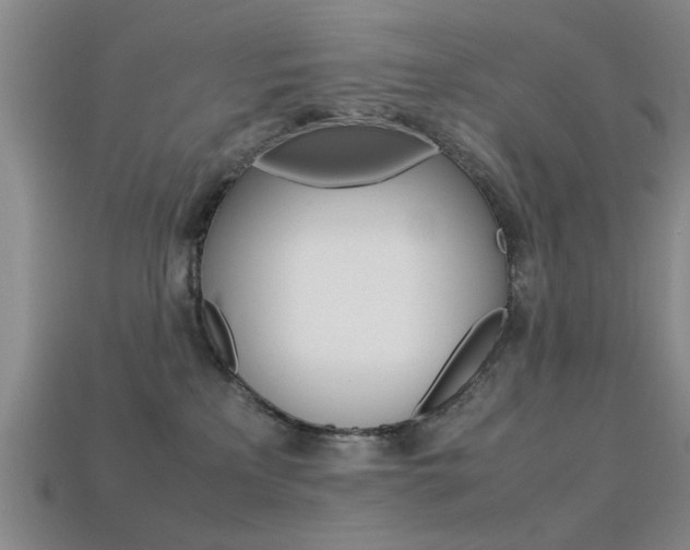 X0000113560233200909181027