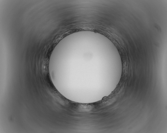 X0000113560234200909181027