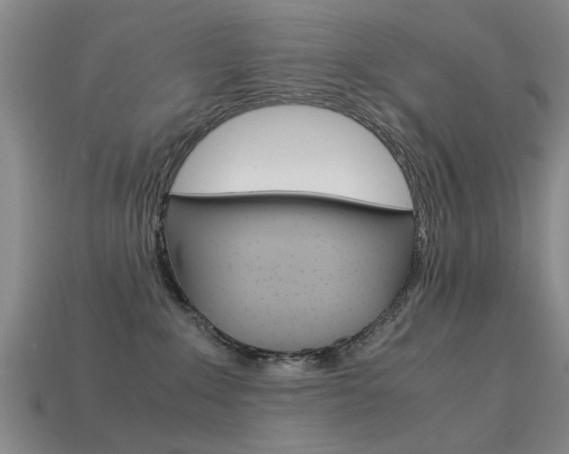 X0000113560235200909181027