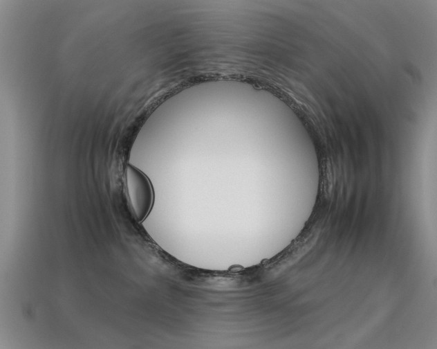 X0000113560236200909181027