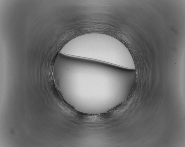 X0000113560237200909181027