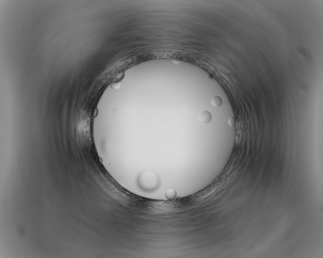 X0000113560238200909181027