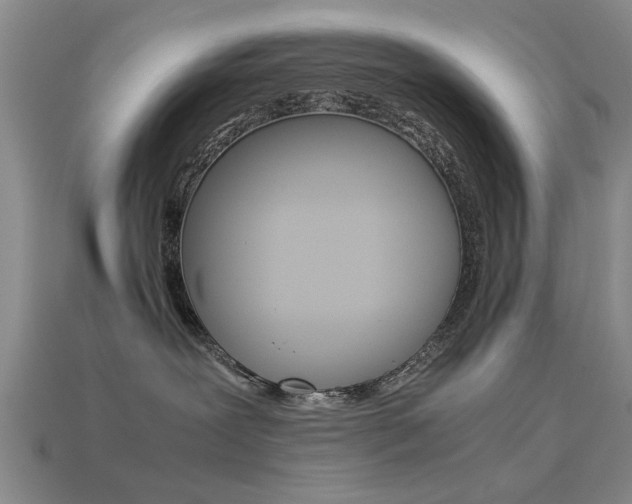 X0000113560239200909181027