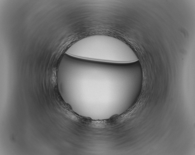 X0000113560240200909181027