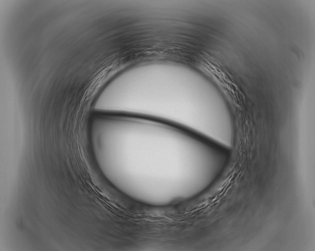 X0000113560241200909181027