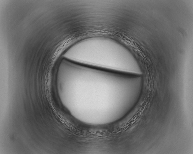X0000113560242200909181027