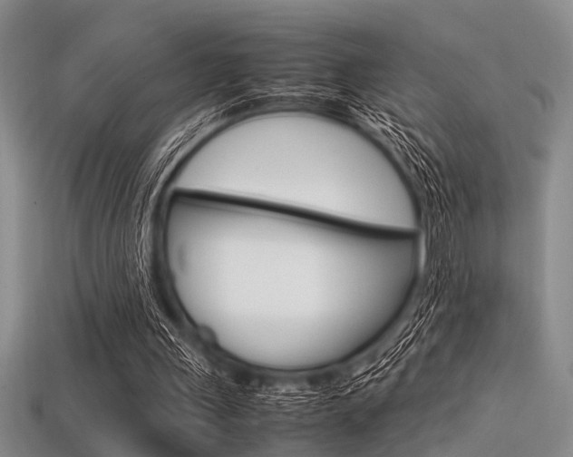 X0000113560243200909181027